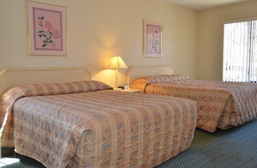 Cypress Cove Nudist Resort 凤凰木 外观 照片